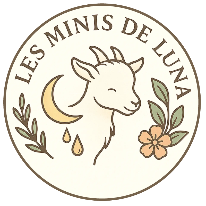 Logo Les minis sans lune de lait